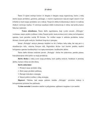 Naujos įmonės „Hologija“ įvedimas į rinką. Paveikslėlis 3