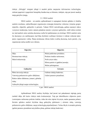Naujos įmonės „Hologija“ įvedimas į rinką. Paveikslėlis 8