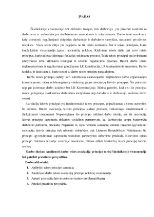 DARBO TEISĖS PRINCIPAS – ASOCIACIJŲ LAISVĖ. JO TURINYS ŠIUOLAIKINĖJE VISUOMENĖJE. Paveikslėlis 3