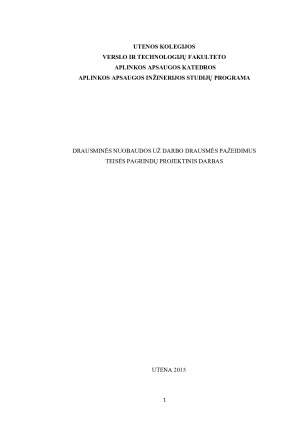 DRAUSMINĖS NUOBAUDOS UŽ DARBO DRAUSMĖS PAŽEIDIMUS