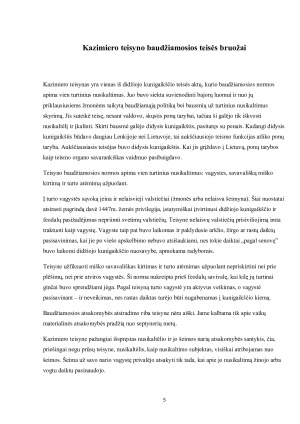 Kazimiero teisyno analizė. Paveikslėlis 5