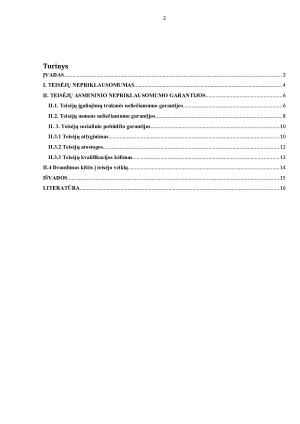 TEISĖJŲ ASMENINIO NEPRIKLAUSOMUMO GARANTIJOS. Paveikslėlis 2