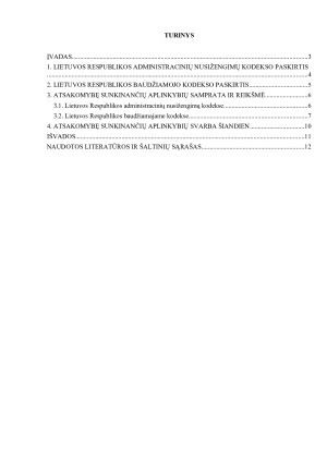 ATSAKOMYBĘ SUNKINANČIŲ APLINKYBIŲ SAMPRATA IR REIKŠMĖ. Paveikslėlis 2
