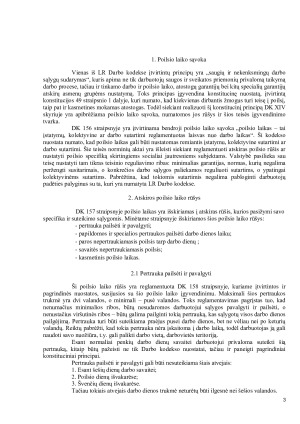 Poilsio laikas. Paveikslėlis 3