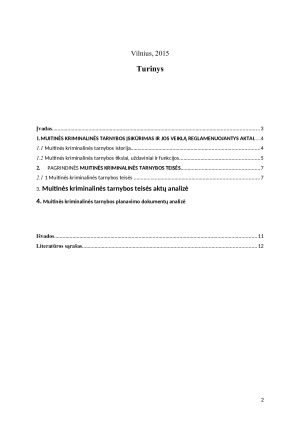 MUITINĖS KRIMINALINĖ TARNYBA. Paveikslėlis 2