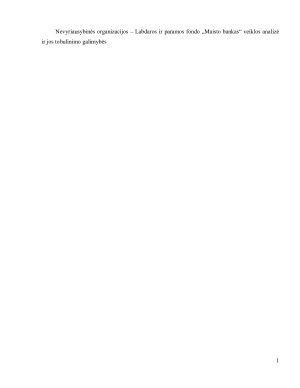 Nevyriausybinės organizacijos – Labdaros ir paramos fondo „Maisto bankas“ veiklos analizė ir jos tobulinimo galimybės