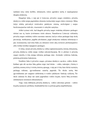 Privačios saugos tarnybos ir jų vaidmuo teisėtvarkos užtikrinime. Paveikslėlis 6