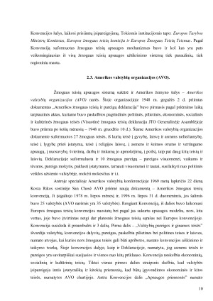 Žmonių teisių gynimo institucijos ES ir JAV. Paveikslėlis 10
