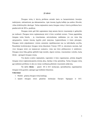 Žmonių teisių gynimo institucijos ES ir JAV. Paveikslėlis 3