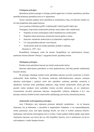Teisinė atsakomybė ir teisinės atsakomybės principai. Paveikslėlis 10