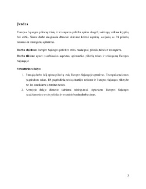 Teisingumas ir piliečių teisės Europos Sąjungoje. Paveikslėlis 3