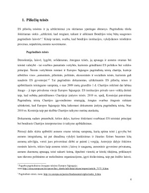 Teisingumas ir piliečių teisės Europos Sąjungoje. Paveikslėlis 4