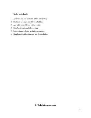 TEISĖKŪRA. Paveikslėlis 4