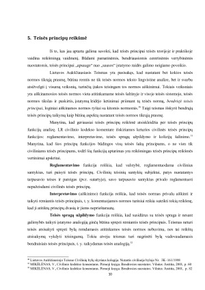 Teisės principų samprata, rūšys ir reikšmė. Paveikslėlis 10