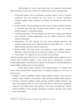 Teisės principų samprata, rūšys ir reikšmė. Paveikslėlis 4