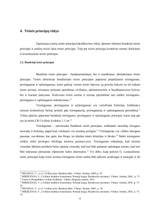 Teisės principų samprata, rūšys ir reikšmė. Paveikslėlis 6
