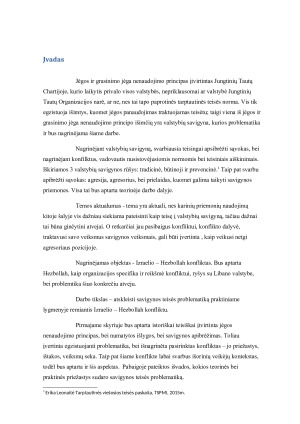 Savigynos teisės problematika. Izraelio – Hezbollah konfliktas. Paveikslėlis 3