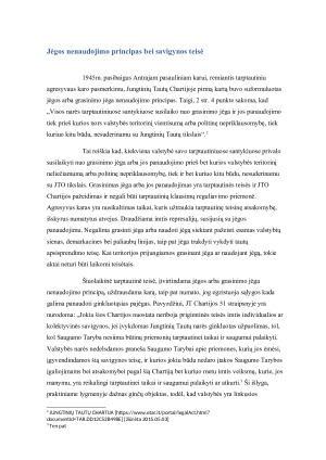 Savigynos teisės problematika. Izraelio – Hezbollah konfliktas. Paveikslėlis 4