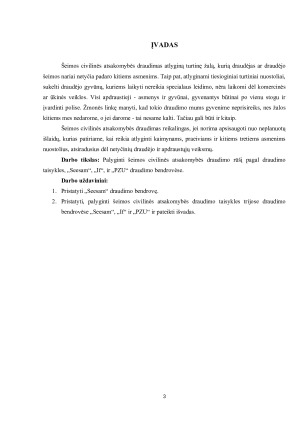 ŠEIMOS CIVILINĖ ATSAKOMYBĖ. Paveikslėlis 3