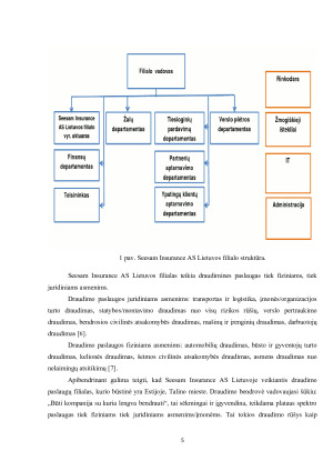 ŠEIMOS CIVILINĖ ATSAKOMYBĖ. Paveikslėlis 5