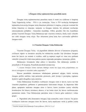 Tarptautinis žmogaus teisių reglamentavimas ir jo bruožai. Paveikslėlis 4