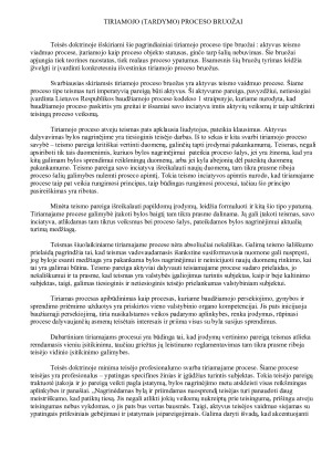 PAGRINDINIAI TEORINIAI BAUDŽIAMOJO PROCESO MODELIAI IR JŲ SKIRIAMIEJI BRUOŽAI. Paveikslėlis 7