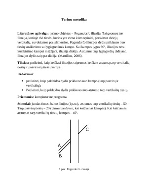 Pagendorfo iliuzijos tyrimas. Paveikslėlis 2