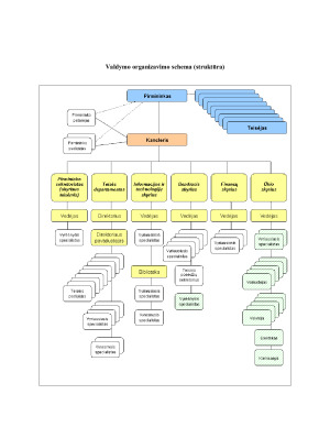 Lietuvos Respublikos Konstitucinio Teismo funkcijos ir įgaliojimai. Paveikslėlis 8