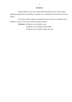 Juridinio asmens filialai ir atstovybės. Paveikslėlis 3