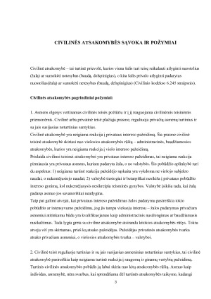 Civilinės atsakomybės rūšys ir formos. Paveikslėlis 3
