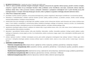 Technologijų ilgalaikis planas 8 klasė. Paveikslėlis 2