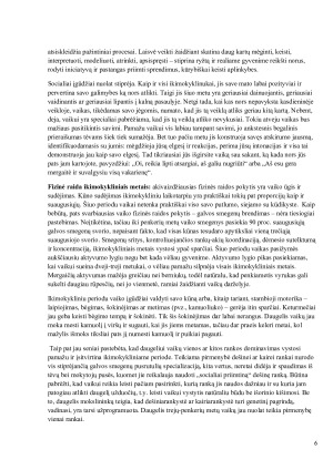 Ikimokyklinio ugdymo aplinkos ir vaiko veiklos tyrimas. Paveikslėlis 6