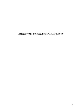 MOKYNIŲ VERSLUMO UGDYMAS. Paveikslėlis 1