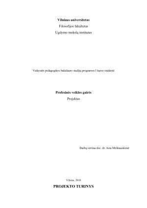 Profesinės veiklos gairės