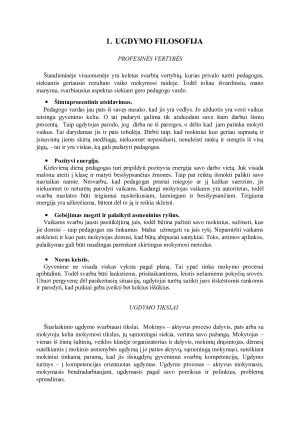 Profesinės veiklos gairės. Paveikslėlis 3