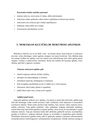 Profesinės veiklos gairės. Paveikslėlis 5