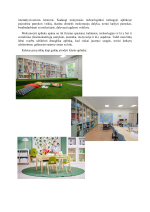 Profesinės veiklos gairės. Paveikslėlis 6