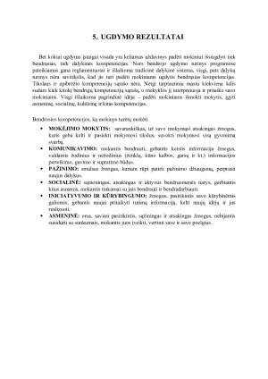 Profesinės veiklos gairės. Paveikslėlis 8