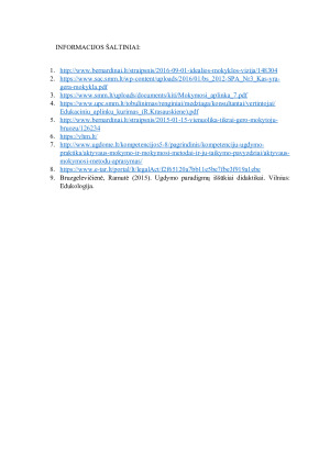 Profesinės veiklos gairės. Paveikslėlis 9