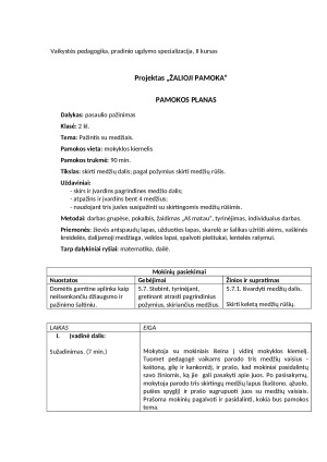 Projektas „ŽALIOJI PAMOKA“. Pamokos planas