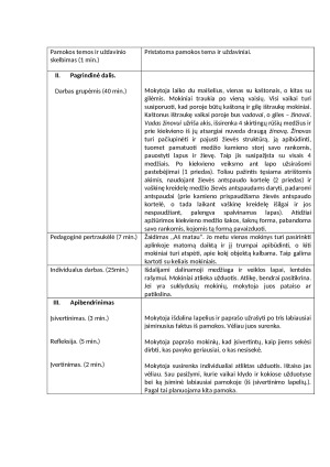 Projektas „ŽALIOJI PAMOKA“. Pamokos planas. Paveikslėlis 2