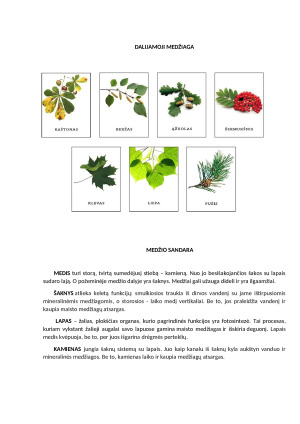 Projektas „ŽALIOJI PAMOKA“. Pamokos planas. Paveikslėlis 5