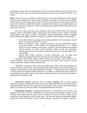 Smurtaujantis vaikas. Paveikslėlis 6