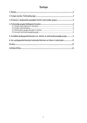 Socialinio pedagogo darbas su neformaliomis paauglių grupėmis