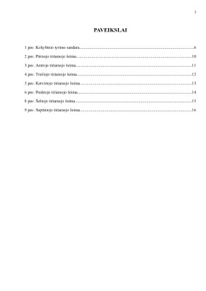 ŠEIMOS SAMPRATA. Paveikslėlis 3