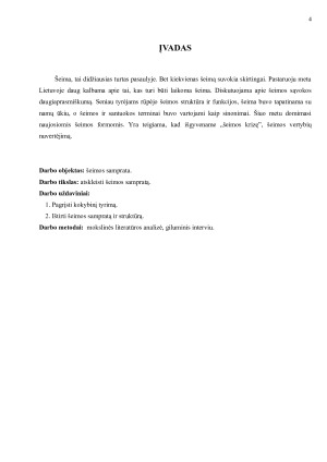 ŠEIMOS SAMPRATA. Paveikslėlis 4