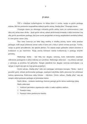 GROŽIO SALONO „STUDIJA PLIUS” MARKETINGO PLANAS. Paveikslėlis 3