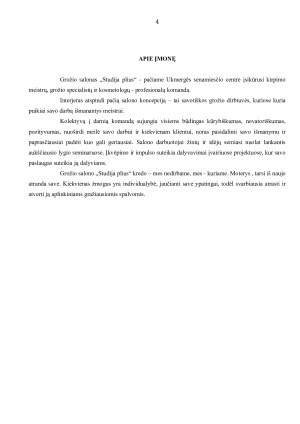 GROŽIO SALONO „STUDIJA PLIUS” MARKETINGO PLANAS. Paveikslėlis 4