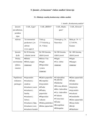Įmonės „Griausmas“ rinkodaros analizė. Paveikslėlis 9