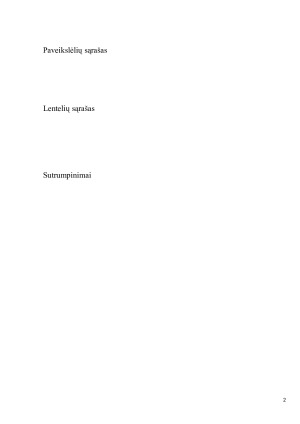 Įmonės pardavimų skatinimo internete planavimas. Paveikslėlis 2